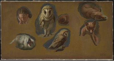 Tanulmányok egy rókáról, egy fülesbagolyról, egy borsóról és egy fiatalember fejéről alkotó: Jacques-Laurent Agasse