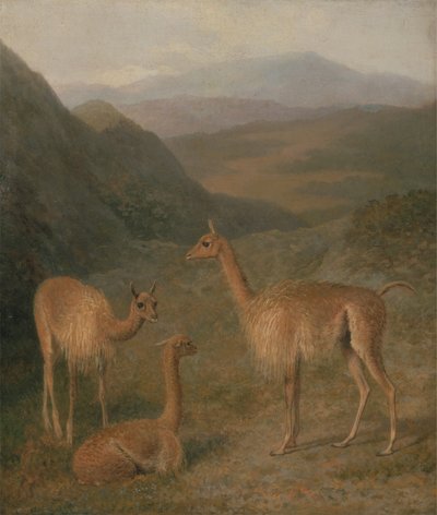 Vicunas alkotó: Jacques-Laurent Agasse