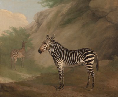 Zebra alkotó: Jacques-Laurent Agasse