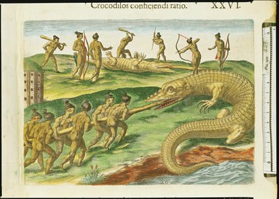Vadászat krokodilok, a „Brevis Narratio”-ból, Theodore de Bry (1528-98) vésette 1563 (180138 részlet) alkotó: Jacques Le Moyne