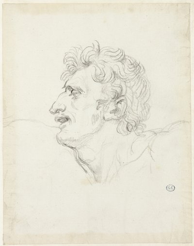 Egy férfi feje, bal oldali profil alkotó: Jacques Louis David