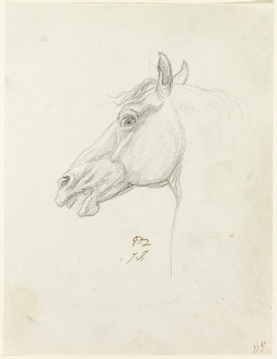 Lófej alkotó: Jacques Louis David