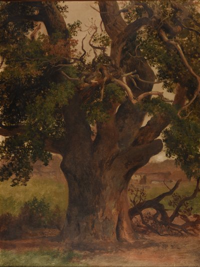 Le Vieux chêne (tanulmány) alkotó: Jacques Raymond Brascassat