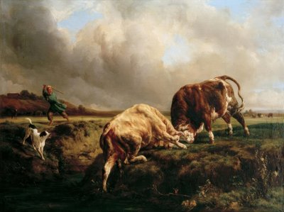 Bikaviadal alkotó: Jacques Raymond Brascassat