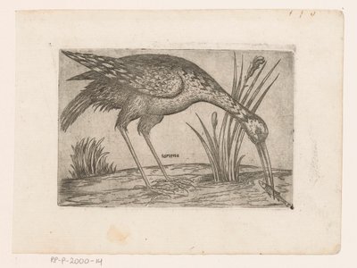 Vogel Tartena (cím az objektumon) Vogels (sorozat címe) alkotó: Jacques de Fornazeris (possibly)