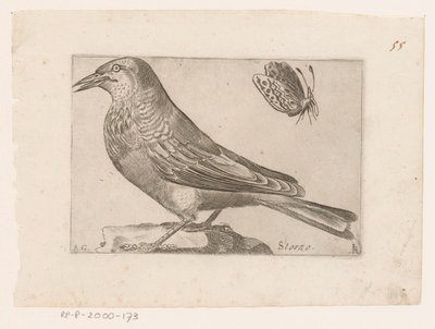 Seregély (Sturnus vulgaris) Lemondás (cím az objektumon) Madarak (sorozat címe) alkotó: Jacques de Fornazeris