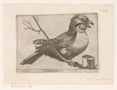 Jay (Garrulus glandarius) Giandara (cím az objektumon) Madarak (sorozat címe) alkotó: Jacques de Fornazeris