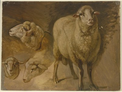 Juhok alkotó: Jakob Becker