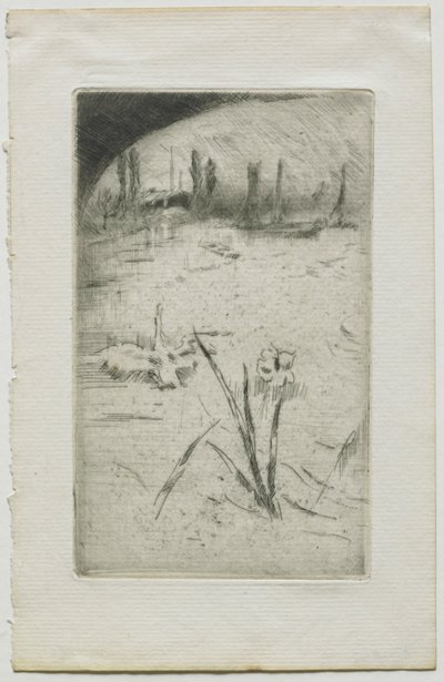Hattyú és írisz, 1883. alkotó: James Abbott McNeill Whistler