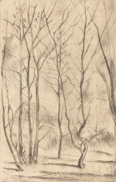 A Dam Wood, 1875. alkotó: James Abbott McNeill Whistler