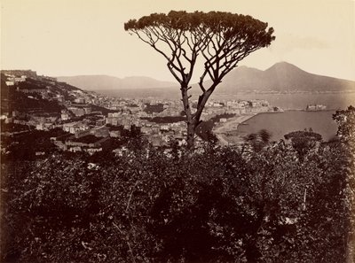 Nápolyi panoráma alkotó: James Anderson