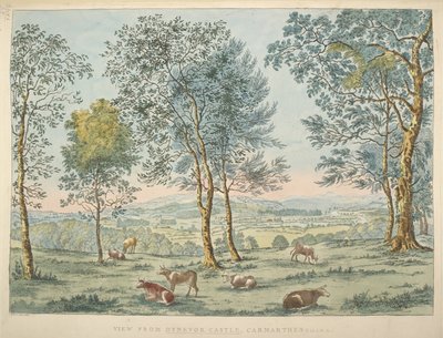 Maps K, Top 46. 35 c Kilátás a Dynevor kastélyból, Carmarthen (kézzel színezett rézkarc) alkotó: James Bretherton