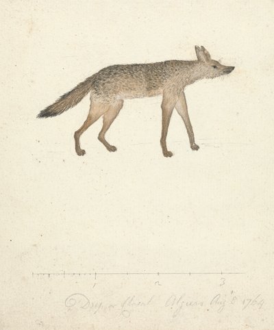 Farkas alkotó: James Bruce