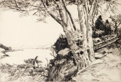A bükkfa alkotó: James Cadzow