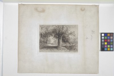 Táj (rézkarc, chine collé) alkotó: James David Smillie