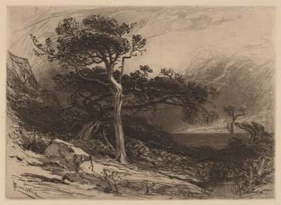 Old Cedars, Maine partja alkotó: James David Smillie