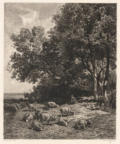 Birkák legeltetése alkotó: James David Smillie