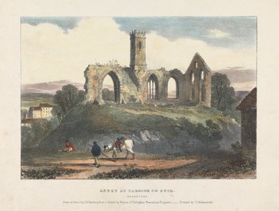 A Carrick on Suir-i apátság alkotó: James Duffield Harding