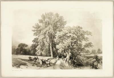 Ábel és tölgy, a Park és az erdőből alkotó: James Duffield Harding