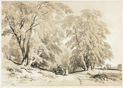 Ash, a Park és az erdőből alkotó: James Duffield Harding