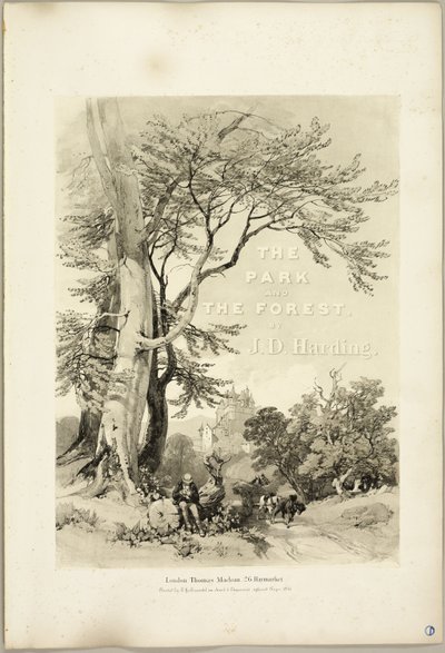 Bükk és tölgy (Frontispiece), a Park és az erdőből alkotó: James Duffield Harding