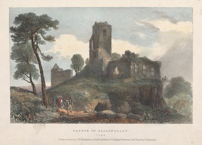 Ballincolly kastélya alkotó: James Duffield Harding