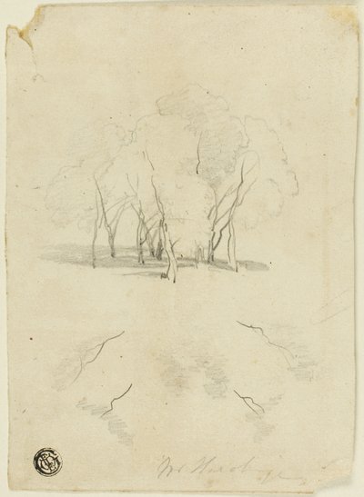 Fák csomója alkotó: James Duffield Harding