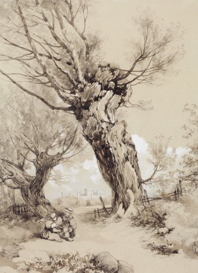 Táj alakokkal nyesett fák alatt alkotó: James Duffield Harding