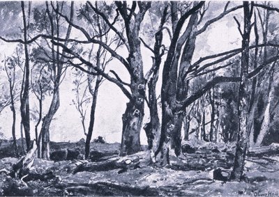Pollard Willows in Windsor meadows, Nature in Britain kiadó Collins alkotó: James Duffield Harding