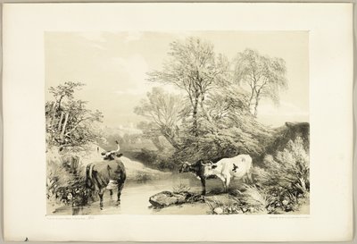 Tövis, fűz, bükk és nyír, a Park és az erdőből alkotó: James Duffield Harding