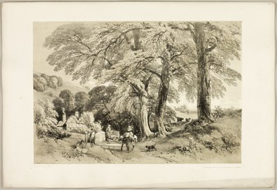 Wych Elm, a Park és az erdőből alkotó: James Duffield Harding