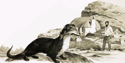 Vidra halakkal és horgászó ember alkotó: James Edwin McConnell