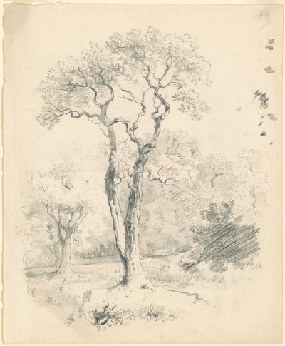 Fák tisztása alkotó: James Goodwyn Clonney