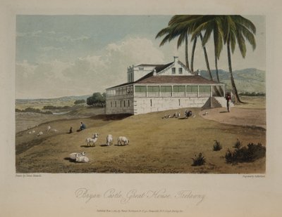 Bryan kastély, Nagy Ház, Trelawny alkotó: James Hakewill