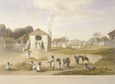 Mill Yard, Holland Estate, St. Thomas keleten alkotó: James Hakewill