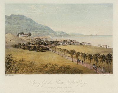 A Spring Garden ingatlan St. George-ban (Karib-térség), I R Grosett Esquire tulajdonában. Színes metszet, április 1. alkotó: James Hakewill