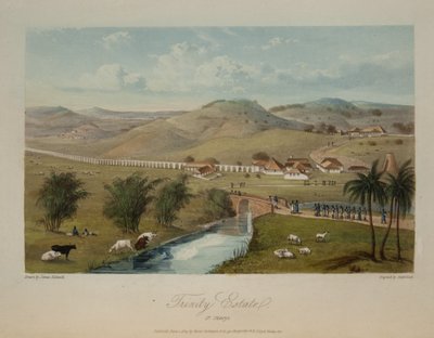 Trinity Estate. Szent Mária alkotó: James Hakewill