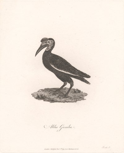 Abba Gumba alkotó: James Heath
