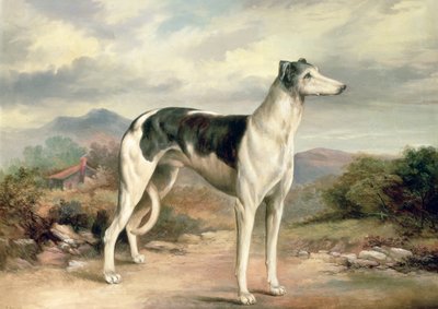 Agár dombos tájon alkotó: James Henry Beard