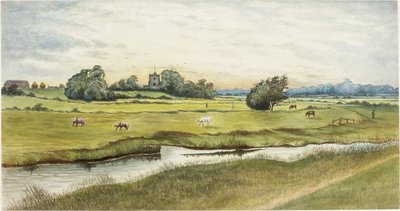 Ryton Meadows (akvarell és testfesték papíron) alkotó: James Henry Cleet