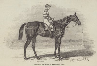 Sweetmeat, a Doncaster-tányér győztese alkotó: James Herring