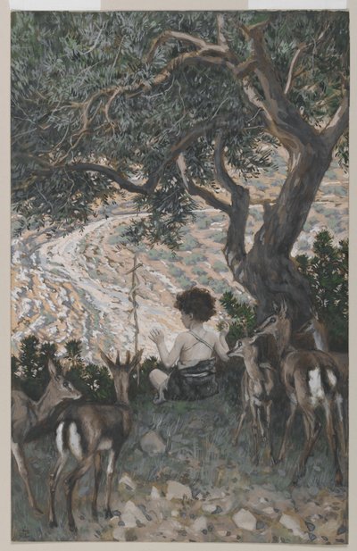 Keresztelő Szent János gyermekkora, illusztráció a mi Urunk Jézus Krisztus életéből (wc grafit fölött, papíron) alkotó: James Jacques Joseph Tissot