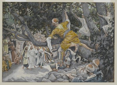 Zákeus a platánban Jézus elvonulására várva, illusztráció az Urunk Jézus Krisztus élete című könyvből, 1886-96 (wc grafit fölött, papíron) alkotó: James Jacques Joseph Tissot