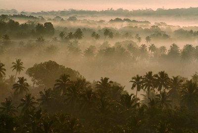 Kora reggeli köd terül el a régi goai táj felett napfelkeltekor. RÉGI GOA, GOA, INDIA. alkotó: James L Stanfield