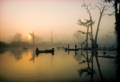 Az októberi nap felégeti a reggeli ködöt az Alligator Bayou felett a Louisiana-deltában, így... alkotó: James L Stanfield