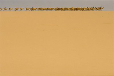 Sókaraván útban a nigériai Agadezbe. ÚTBAN AGADEZ, NIGÉRIA, NIGÉRIA FELÉ. alkotó: James L Stanfield