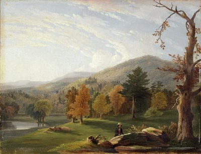 Kilátás a Helderbergek között, a távolban a Catskills-hegység, 1850 alkotó: James McDougal Hart