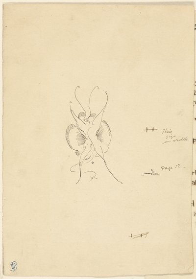 Pillangó alkotó: James McNeill Whistler