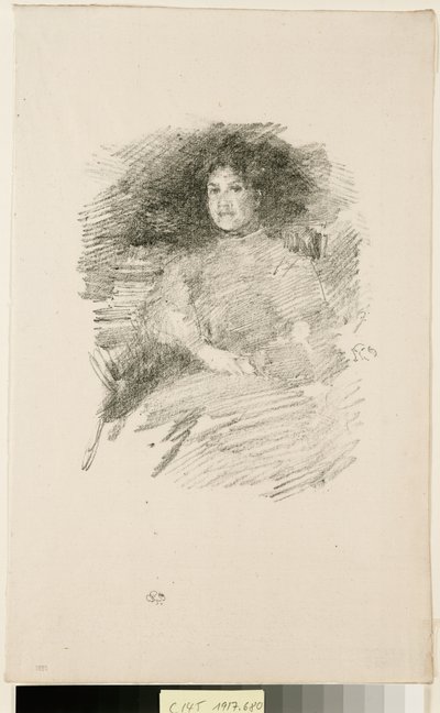 Tűzfény alkotó: James McNeill Whistler