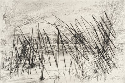 Táj halásszal alkotó: James McNeill Whistler